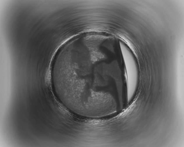 X0000096410779200801311351