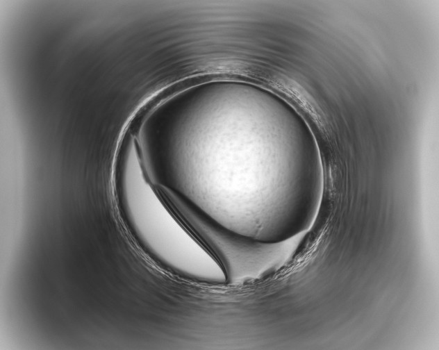 X0000096410780200801311351
