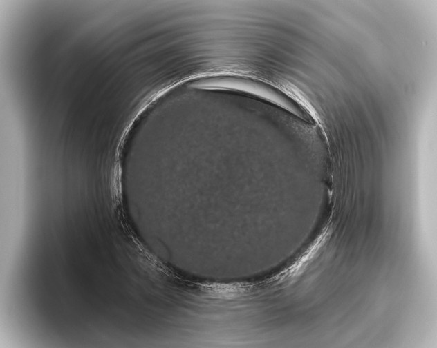 X0000096410781200801311351