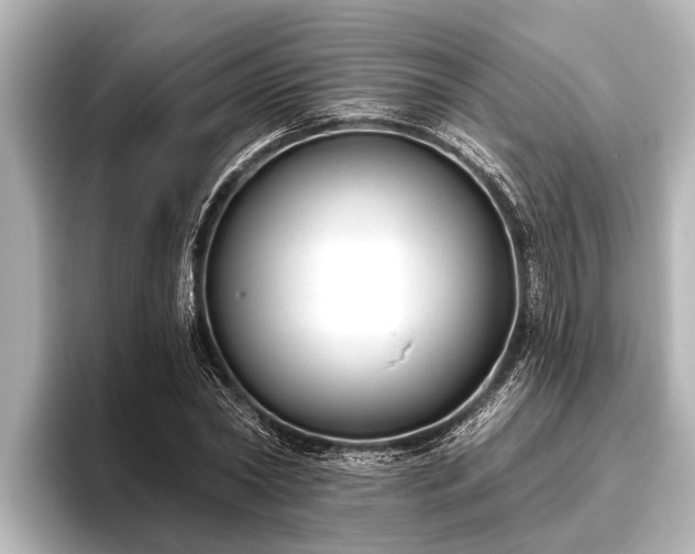 X0000096410782200801311351
