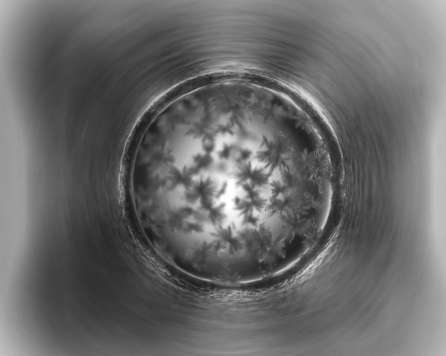 X0000096410783200801311351