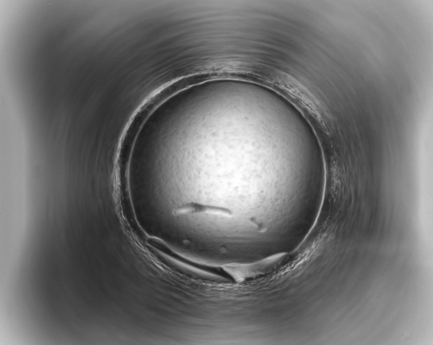 X0000096410784200801311351