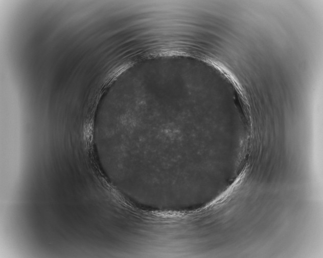 X0000096410785200801311351