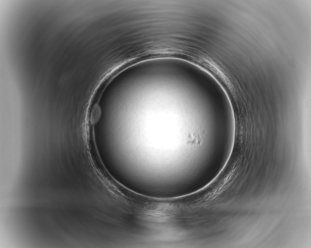 X0000096410787200801311351