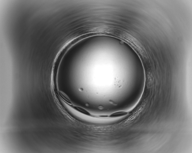 X0000096410788200801311351