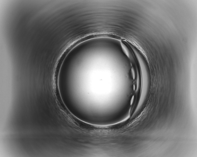 X0000096410789200801311351