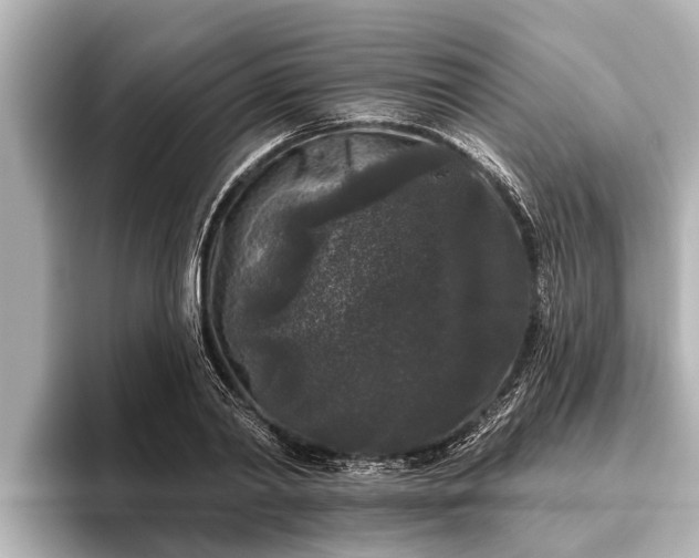 X0000096410790200801311351