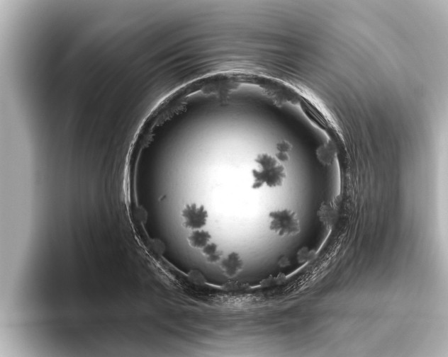 X0000096410791200801311351