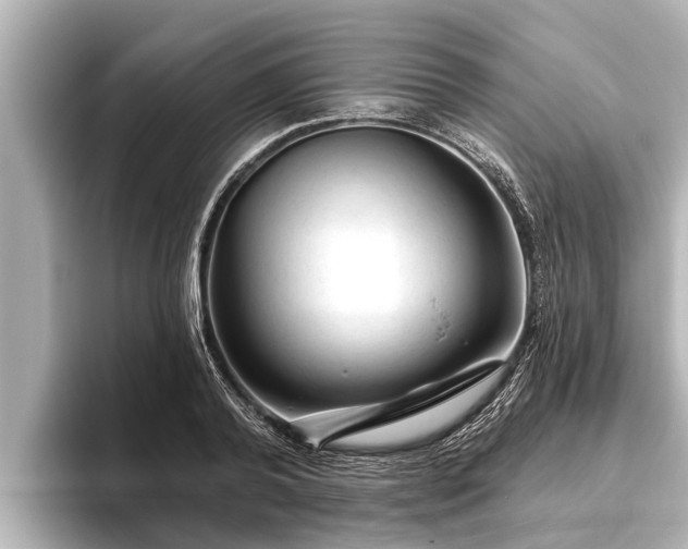 X0000096410792200801311351