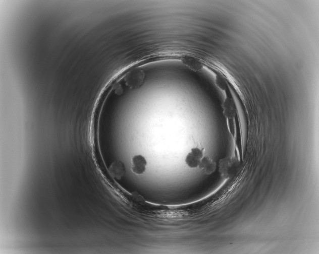 X0000096410795200801311351