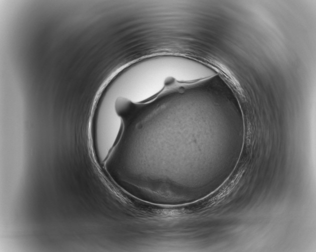 X0000096410796200801311351