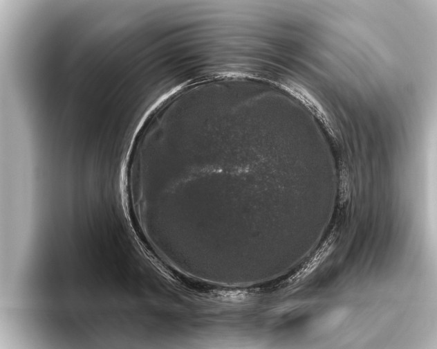 X0000096410798200801311351