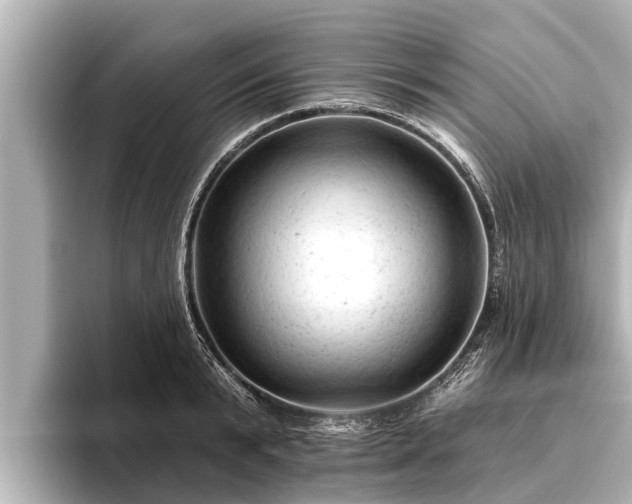 X0000096410799200801311351