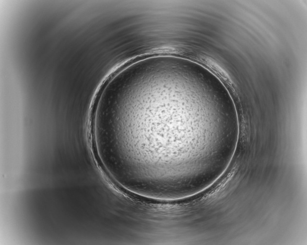 X0000096410800200801311351