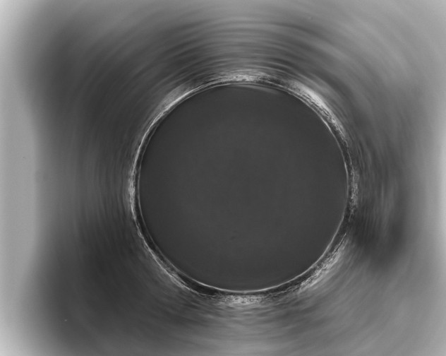 X0000096410802200801311351