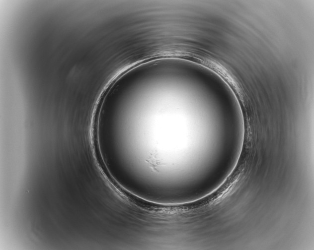X0000096410803200801311351