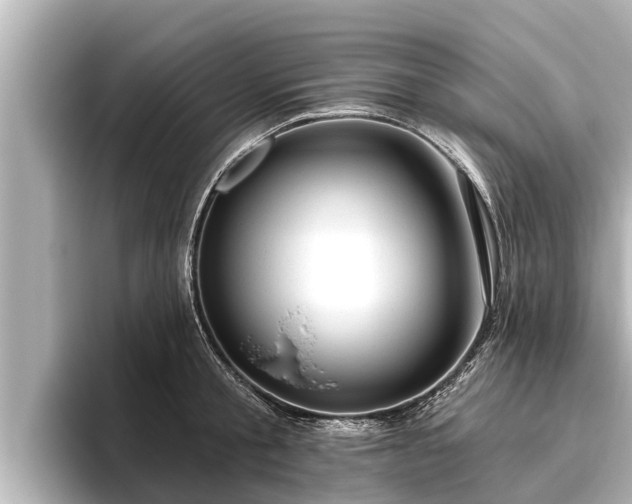 X0000096410805200801311351