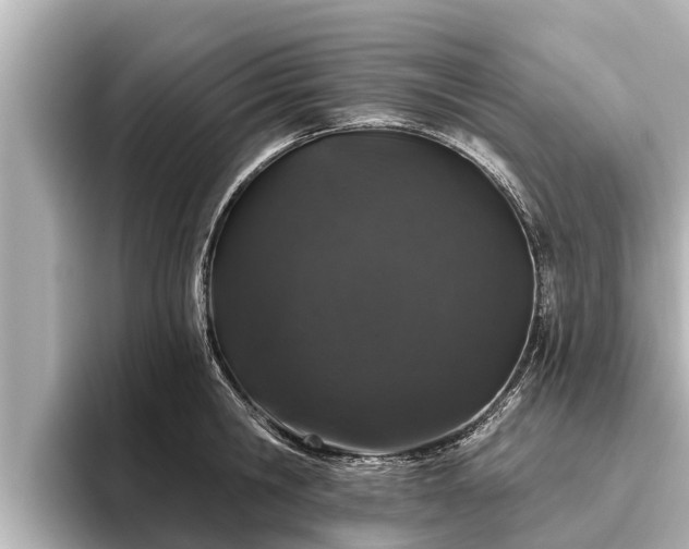 X0000096410806200801311351