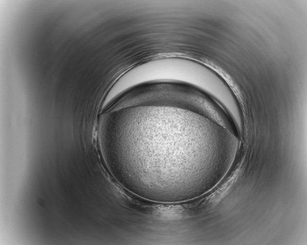 X0000096410809200801311351