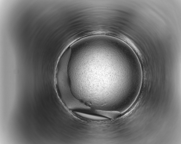 X0000096410810200801311351
