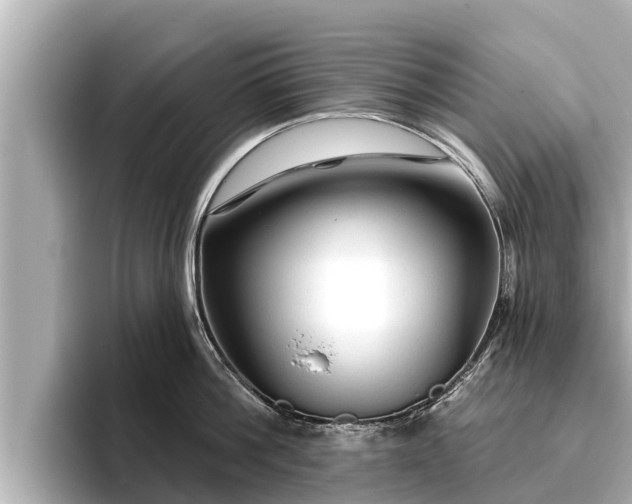 X0000096410812200801311351