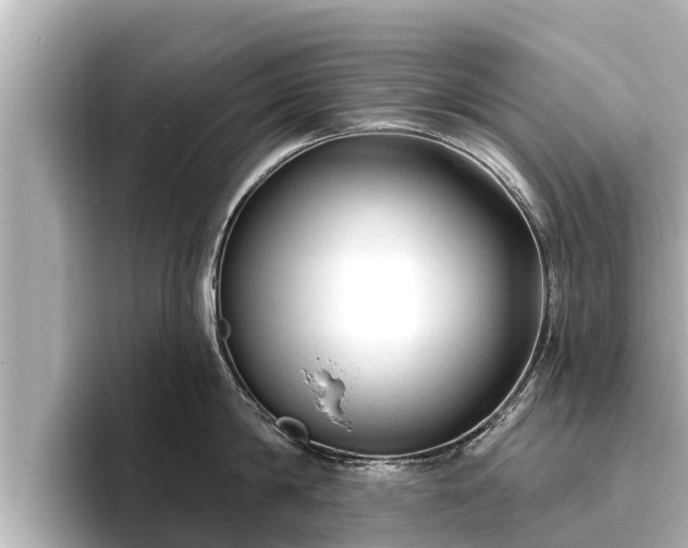 X0000096410814200801311351
