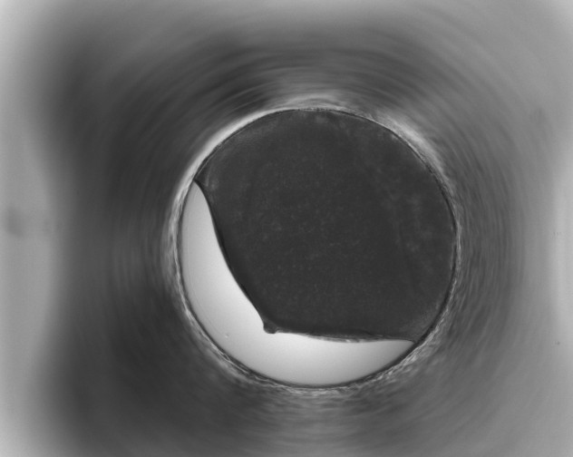 X0000096410816200801311351