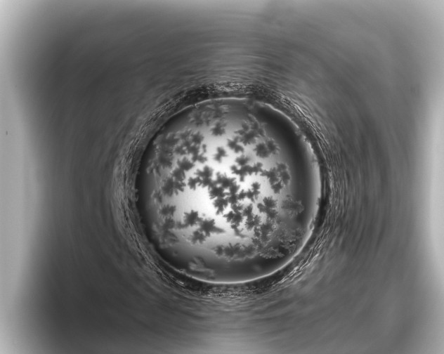 X0000096410817200801311350