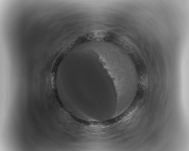 X0000096410818200801311350