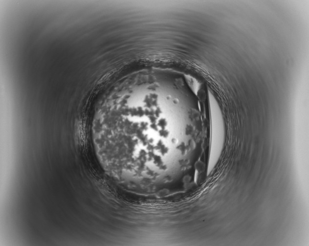 X0000096410819200801311350