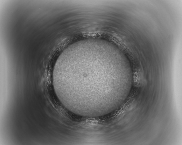 X0000096410820200801311350