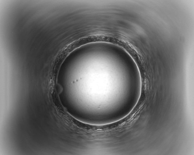 X0000096410821200801311350