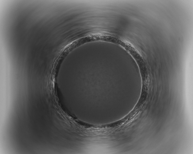 X0000096410822200801311350
