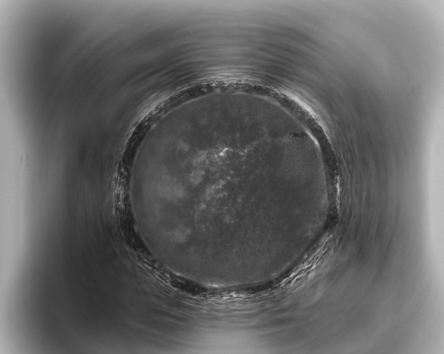 X0000096410823200801311350