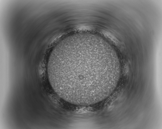 X0000096410824200801311350
