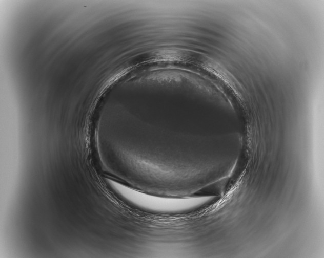 X0000096410826200801311350
