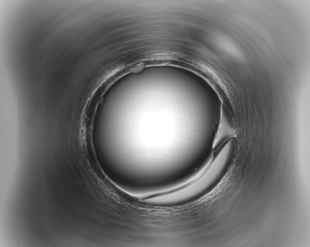 X0000096410827200801311350