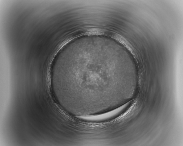 X0000096410829200801311350