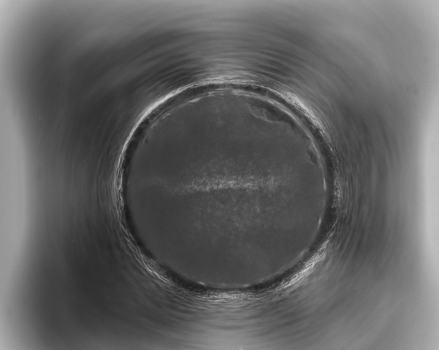 X0000096410830200801311350