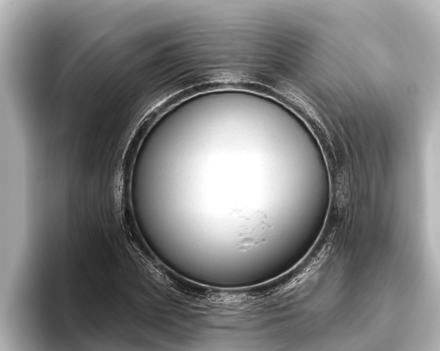 X0000096410831200801311350