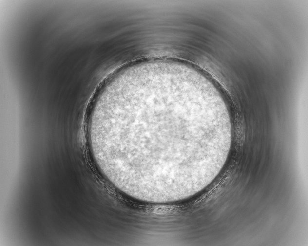 X0000096410832200801311350