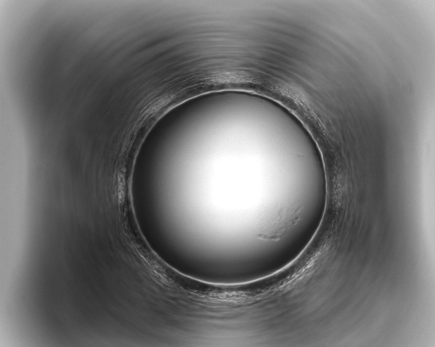 X0000096410833200801311350