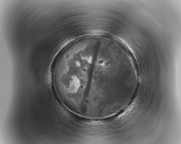 X0000096410835200801311350