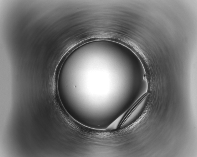 X0000096410837200801311351