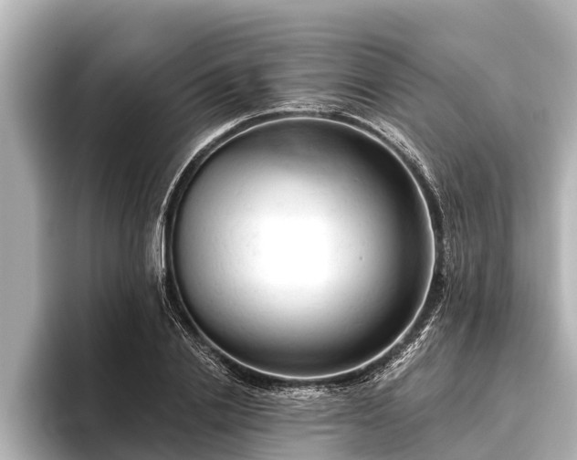 X0000096410838200801311351