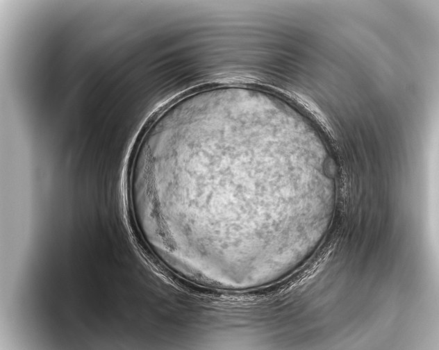 X0000096410840200801311351