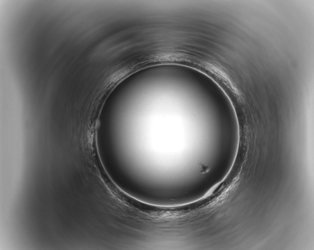 X0000096410841200801311351