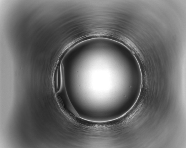 X0000096410842200801311351