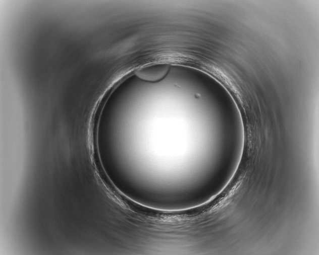 X0000096410843200801311351