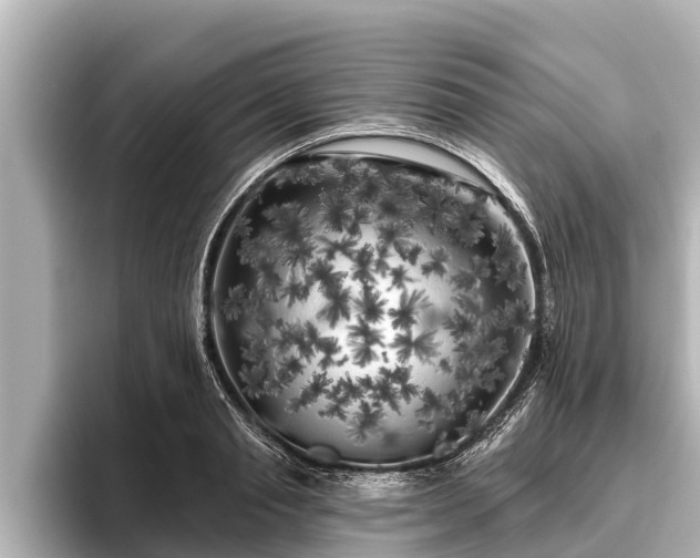 X0000096410845200801311351
